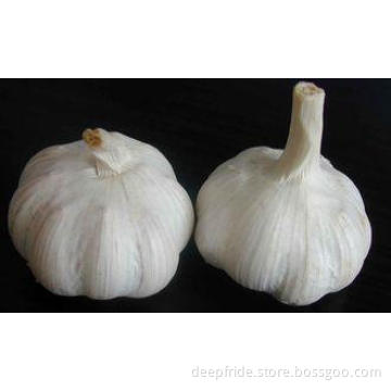 Plump Shaped 6.0 - 6.5cm Pure White Garlic With GAP , SGS ,